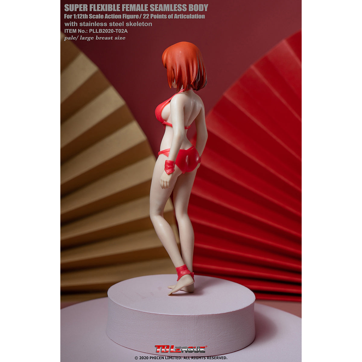 TBLeague, Seamless Steel Skeleton Female Eropean & Proportions/Anime/Asian Body Type with Head Sculpt, Action Figures Body