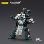 JOYTOY Imperial Fists Legion Apothecary/Sons of Horus Legion Apothecary & Legion Champion & Cataphractii Praetor with Combi-Melta and Power Maul 1/18 Scale Action Figure