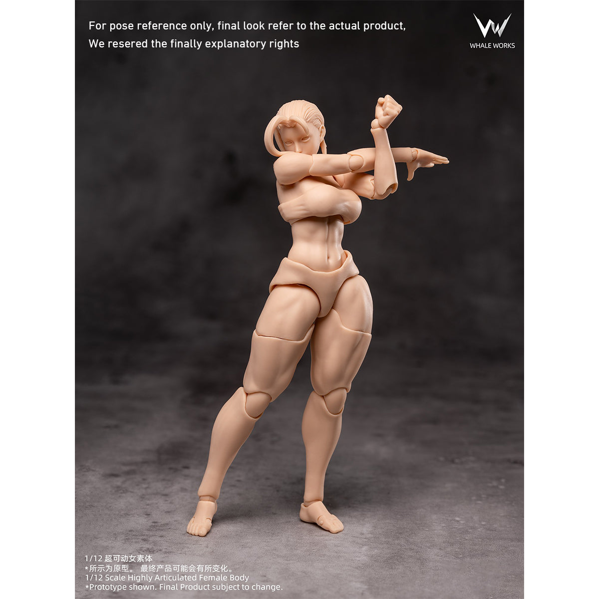 WHALE WORKS Articulated Joints Female WW01-A ARIA Large Bust WW02-A RIN Large Bust 1/12 Scale Action Figure Body
