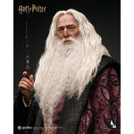 INART Harry Potter and the Chamber of Secrets InArt Albus Dumbledore 1/6 Scale Action Figure Set