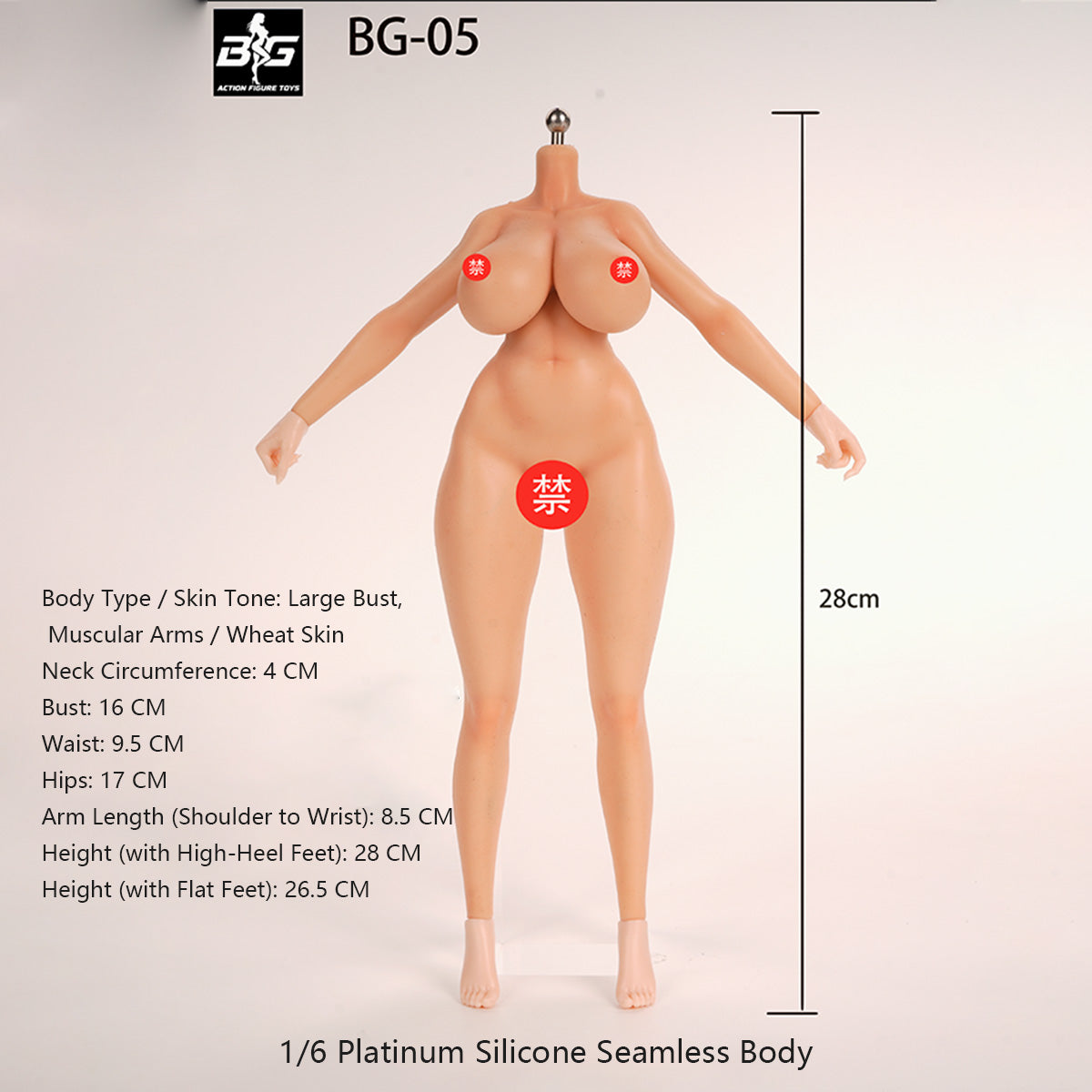 ACTION FIGURE TOYS Seamless Female Platinum Silicone with Stainless Steel Skeleton BG-01–BG-05 Medium/Large/Extra Large Bust, Multiple Skin Tones, Large Hip & Thigh Strap Options 1/6 Scale Action Figure Body