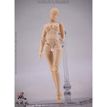 Wind Toys Supermodel Female Body FMW008 FMW007 FMW006 1/12 Scale Articulated Joints Action Figure