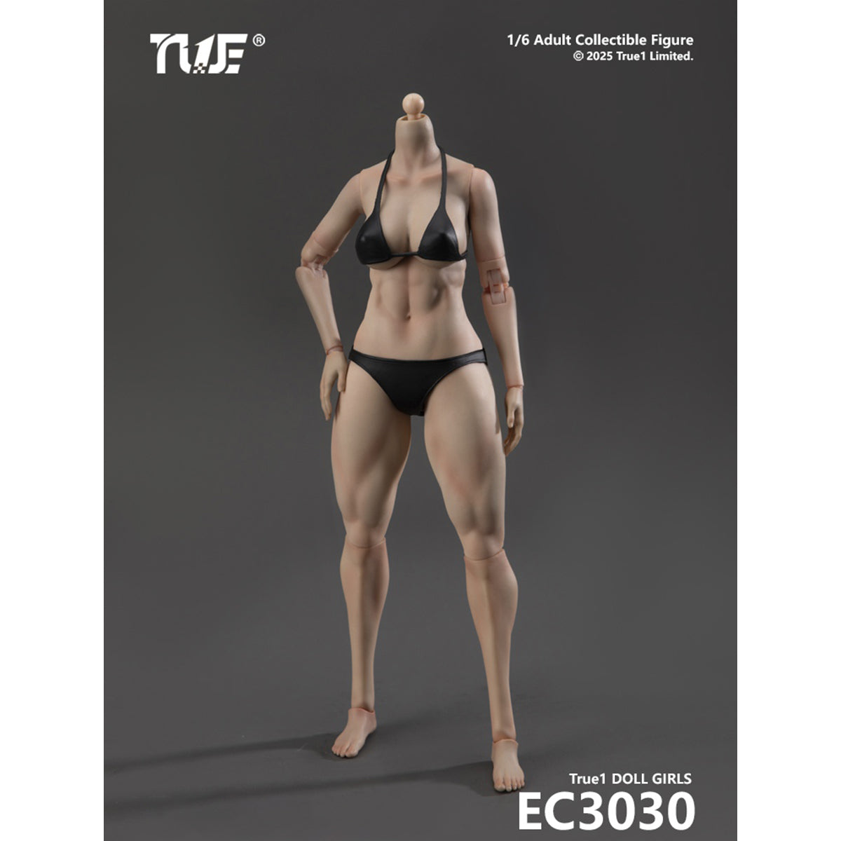 True1Toys Articulated Joints Female Muscular Legs Version EC3029 Medium Bust EC3030 Large Bust 1/6 Scale Action Figure Body