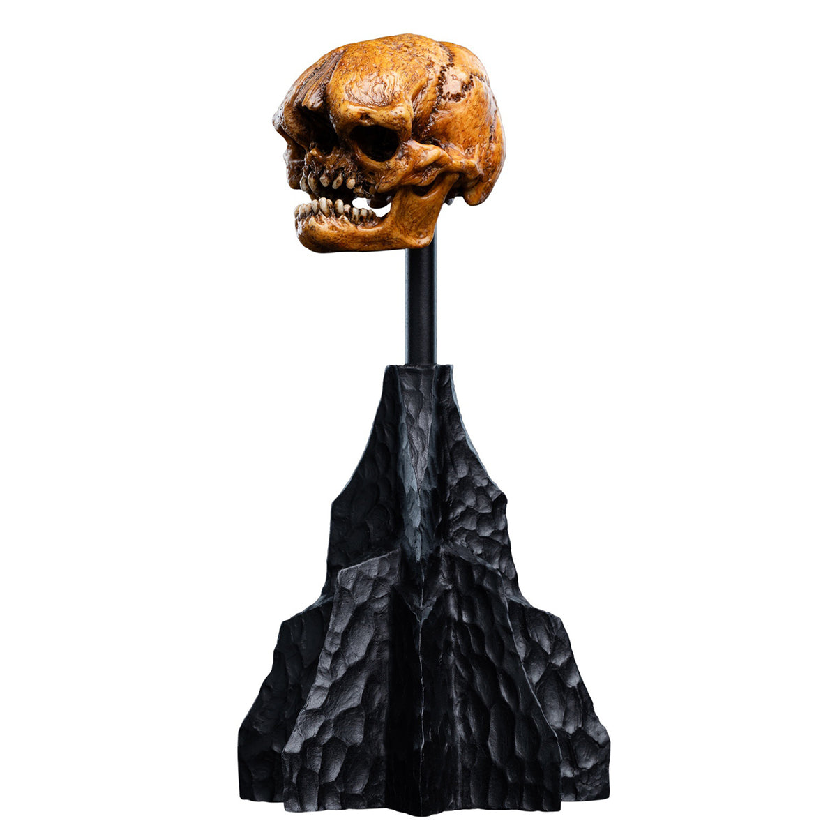 WETA Workshop The Hobbit Trilogy Skull Miniature Skull of a Misty Mountain Goblin Art Figurine