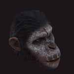 MIT TOYS, Caesar Head Sculpture, Figure Head Sculpt