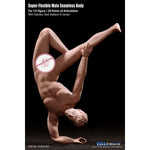 TBLeague, Seamless Male Muscular Body Suntan-Skin, Action Figures Body