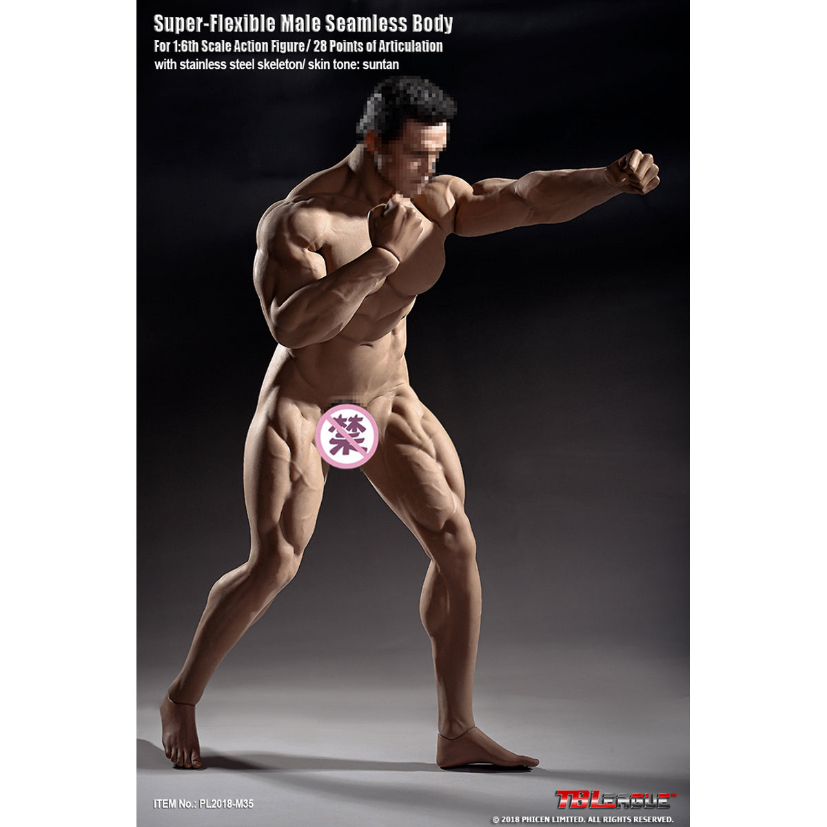 TBLeague, Seamless Male Muscular Body Suntan-Skin, Action Figures Body