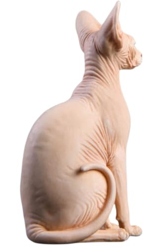 HiPlay JXK Collectible Cat Figure: Canadian Hairless, Expertly Hand-Painted, Lifelike, Safe Resin, 1:6 Scale Miniature Animal Figurine