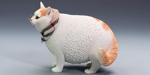 HiPlay JXK Collectible Cat Figure: Change Head Fat Cat, Expertly Hand-Painted, Lifelike, Safe Resin, 1:6 Scale Miniature Animal Figurine