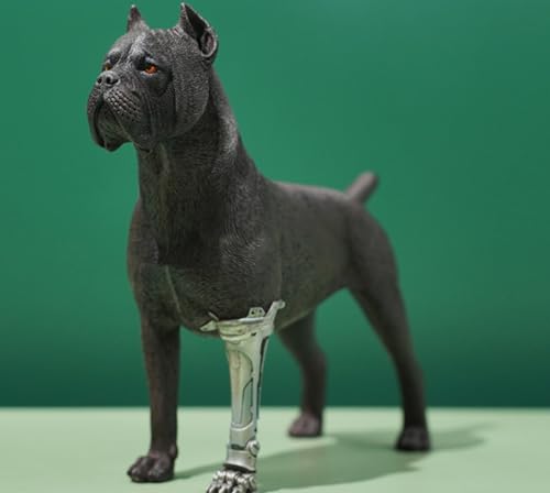 HiPlay JXK Collectible Dog Figure: Cane Corso, Expertly Hand-Painted, Lifelike, Safe Resin, 1:6 Scale Miniature Animal Figurine