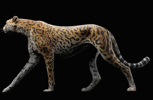 HiPlay JXK Collectible Leopard Figure: King Cheetha, Expertly Hand-Painted, Lifelike, Safe Resin, 1:6 Scale Miniature Animal Figurine JXK116