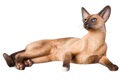 HiPlay JXK Collectible Cat Figure: Siamese Cat, Expertly Hand-Painted, Lifelike, Safe Resin, 1:6 Scale Miniature Animal Figurine