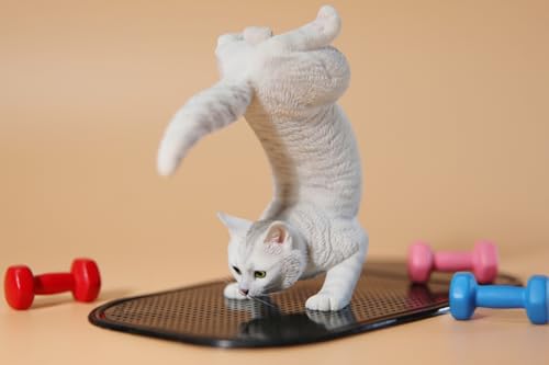 HiPlay JXK Collectible Cat Figure: Yoga Cat 2.0, Expertly Hand-Painted, Lifelike, Safe Resin, 1:6 Scale Miniature Animal Figurine