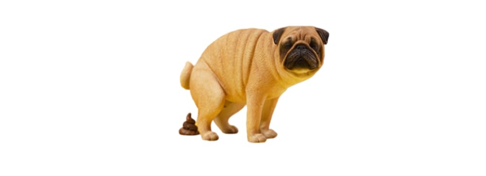 HiPlay JXK Collectible Dog Figure: Pug Half Squat, Expertly Hand-Painted, Lifelike, Safe Resin, 1:6 Scale Miniature Animal Figurine JXK122A