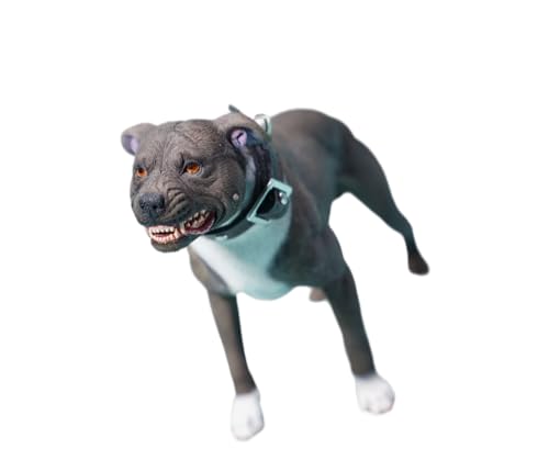 HiPlay JXK Collectible Dog Figure: American Pit Bull Terrier, Expertly Hand-Painted, Lifelike, Safe Resin, 1:6 Scale Miniature Animal Figurine JXK129A