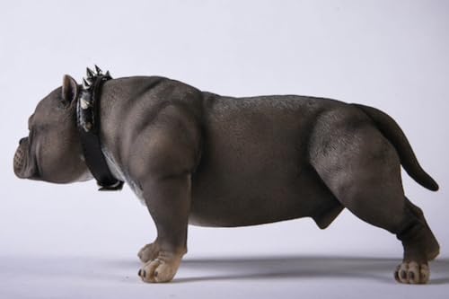 HiPlay JXK Collectible Dog Figure: Bully Dog, Expertly Hand-Painted, Lifelike, Safe Resin, 1:6 Scale Miniature Animal Figurine