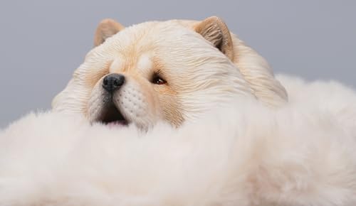 HiPlay JXK Collectible Dog Figure: Chow Chow, Expertly Hand-Painted, Lifelike, Safe Resin, 1:6 Scale Miniature Animal Figurine