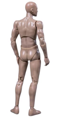 HiPlay 1:12 Scale Male Action Figure Body - Flexible and Multi-Articular Mobility DPS01