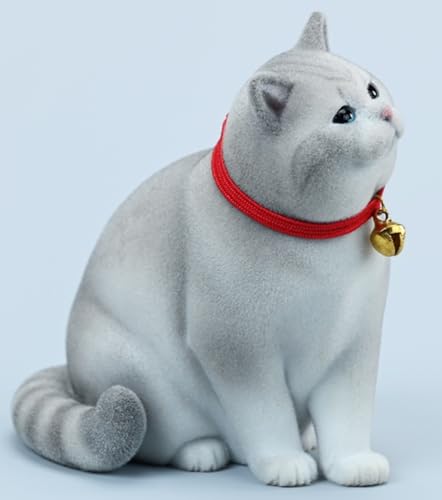 HiPlay JXK Collectible Cat Figure: British Shorthair, 1:6 Scale Miniature Animal Figurine