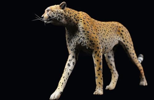 HiPlay JXK Collectible Leopard Figure: King Cheetha, Expertly Hand-Painted, Lifelike, Safe Resin, 1:6 Scale Miniature Animal Figurine JXK116