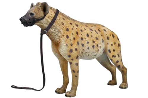 HiPlay JXK Collectible Cat Figure: Hyena, Expertly Hand-Painted, Lifelike, Safe Resin, 1:6 Scale Miniature Animal Figurine