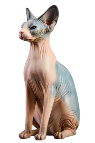 HiPlay JXK Collectible Cat Figure: Canadian Hairless, Expertly Hand-Painted, Lifelike, Safe Resin, 1:6 Scale Miniature Animal Figurine