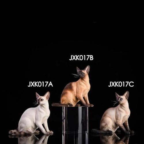 HiPlay JXK Collectible Cat Figure: Siamese Cat, Expertly Hand-Painted, Lifelike, Safe Resin, 1:6 Scale Miniature Animal Figurine