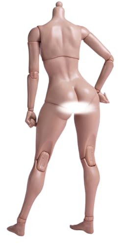 HiPlay WorldBox 1:6 Scale Female Action Figure Body - Plump Body Shape, Fair Skin