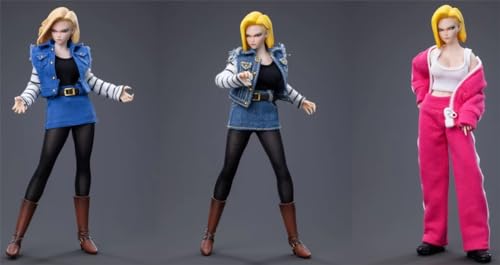 HiPlay Collectible Figure Full Accessories Set: Head sculpt+Clothes+Accessory For 1:12 Scale Miniature Female Action Figurine (cd048B)