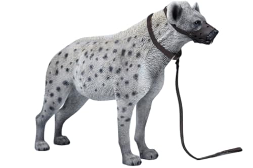 HiPlay JXK Collectible Cat Figure: Hyena, Expertly Hand-Painted, Lifelike, Safe Resin, 1:6 Scale Miniature Animal Figurine