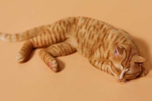 HiPlay JXK Collectible Cat Figure: Lethargic Cat 4.0, Expertly Hand-Painted, Lifelike, Safe Resin, 1:6 Scale Miniature Animal Figurine