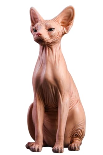 HiPlay JXK Collectible Cat Figure: Canadian Hairless, Expertly Hand-Painted, Lifelike, Safe Resin, 1:6 Scale Miniature Animal Figurine