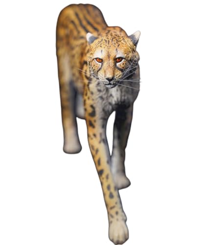 HiPlay JXK Collectible Leopard Figure: King Cheetha, Expertly Hand-Painted, Lifelike, Safe Resin, 1:6 Scale Miniature Animal Figurine JXK116