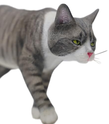 Figura de gato coleccionable JXK: modelo Felis Catus, pintada a mano por expertos, resina realista y segura, miniatura a escala 1:6.