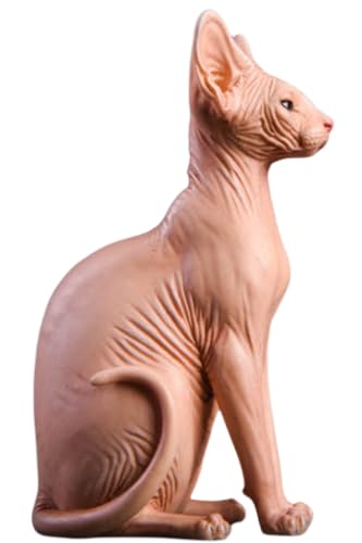 HiPlay JXK Collectible Cat Figure: Canadian Hairless, Expertly Hand-Painted, Lifelike, Safe Resin, 1:6 Scale Miniature Animal Figurine