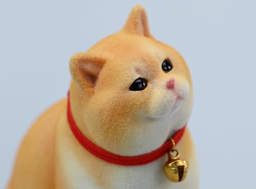 HiPlay JXK Collectible Cat Figure: British Shorthair, 1:6 Scale Miniature Animal Figurine