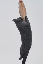 JXK Collectible Cat Figure: Cats That eat Fish 2.0, Expertly Hand-Painted, Lifelike, Safe Resin, 1:6 Scale Miniature Animal Figurine