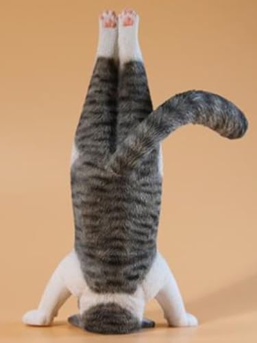 HiPlay JXK Collectible Cat Figure: Yoga Cat, Expertly Hand-Painted, Lifelike, Safe Resin, 1:6 Scale Miniature Animal Figurine