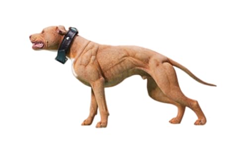 HiPlay JXK Collectible Dog Figure: American Pit Bull Terrier, Expertly Hand-Painted, Lifelike, Safe Resin, 1:6 Scale Miniature Animal Figurine JXK129A