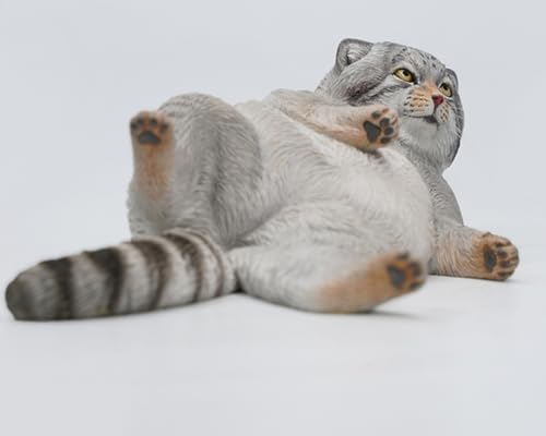 HiPlay JXK Collectible Cat Figure: Otocolobus Manul, Expertly Hand-Painted, Lifelike, Safe Resin, 1:6 Scale Miniature Animal Figurine