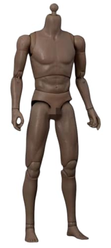 HiPlay WorldBox 1:6 Scale Male Action Figure Body