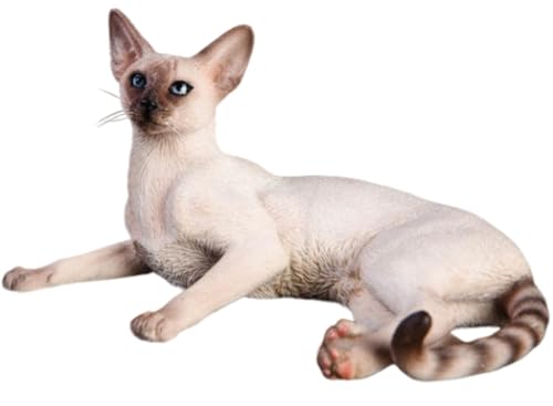 HiPlay JXK Collectible Cat Figure: Siamese Cat, Expertly Hand-Painted, Lifelike, Safe Resin, 1:6 Scale Miniature Animal Figurine