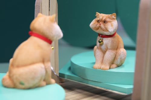 HiPlay JXK Collectible Cat Figure: Ugly Cat 1.0, Expertly Hand-Painted, Lifelike, Safe Resin, 1:6 Scale Miniature Animal Figurine JXK183