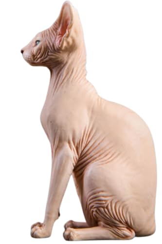 HiPlay JXK Collectible Cat Figure: Canadian Hairless, Expertly Hand-Painted, Lifelike, Safe Resin, 1:6 Scale Miniature Animal Figurine