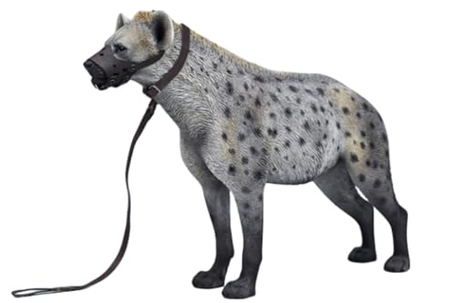 HiPlay JXK Collectible Cat Figure: Hyena, Expertly Hand-Painted, Lifelike, Safe Resin, 1:6 Scale Miniature Animal Figurine