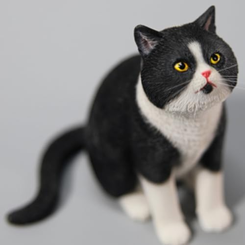 HiPlay JXK Collectible Cat Figure: Princess Cat, Expertly Hand-Painted, Lifelike, Safe Resin, 1:6 Scale Miniature Animal Figurine