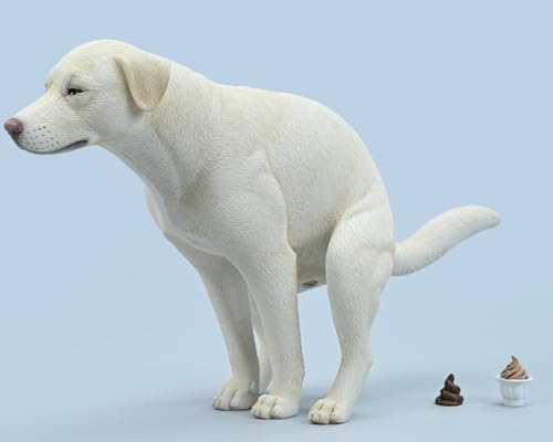 HiPlay JXK Collectible Dog Figure: Labrador, Expertly Hand-Painted, Lifelike, Safe Resin, 1:6 Scale Miniature Animal Figurine