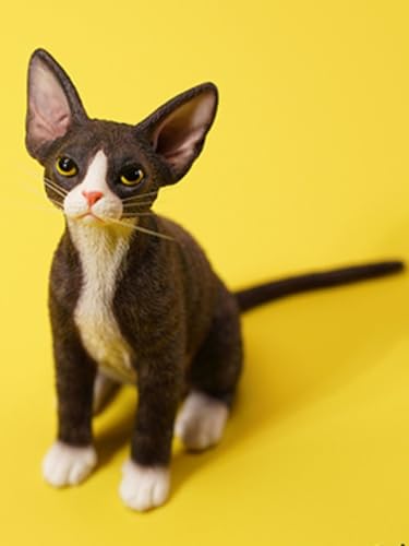 HiPlay JXK Collectible Cat Figure: Deon Rex, 1:6 Scale Miniature Animal Figurine