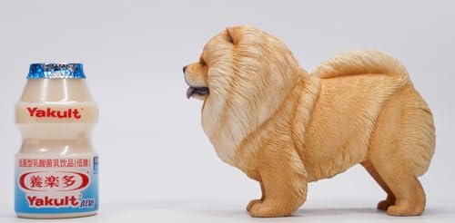 HiPlay JXK Collectible Dog Figure: Chow Chow, Expertly Hand-Painted, Lifelike, Safe Resin, 1:6 Scale Miniature Animal Figurine