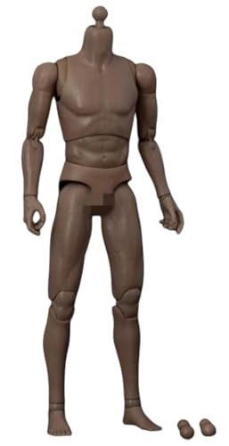 HiPlay 1:12 Scale Female Half-Seamless Action Figure Body -Tall and Plump Body Shape, Small Bust and Wheat Skin T86-ST01B (Wheat,Small Bust HiPlay 1:12 Scale Female Half-Seamless Action Figure Body -Tall and Plump Body Shape, Small Bust and Wheat Skin T86-ST01B (Wheat,Small Bust